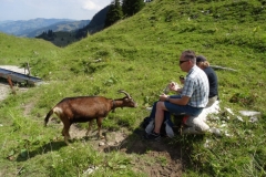 Schwarzsee 8